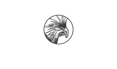 Vier Vogel Pils